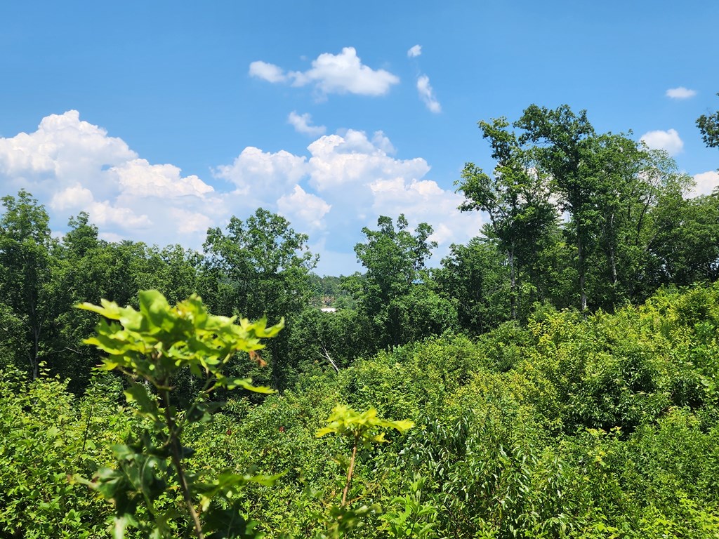 Lot 211 Woodstone Trail