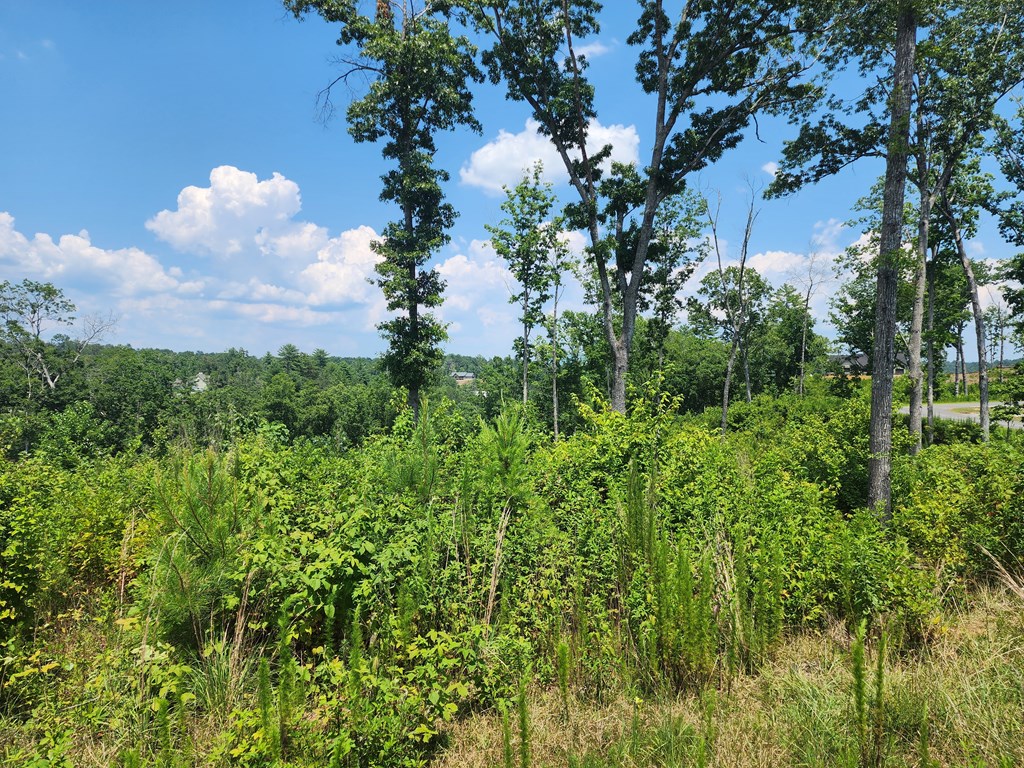 Lot 211 Woodstone Trail