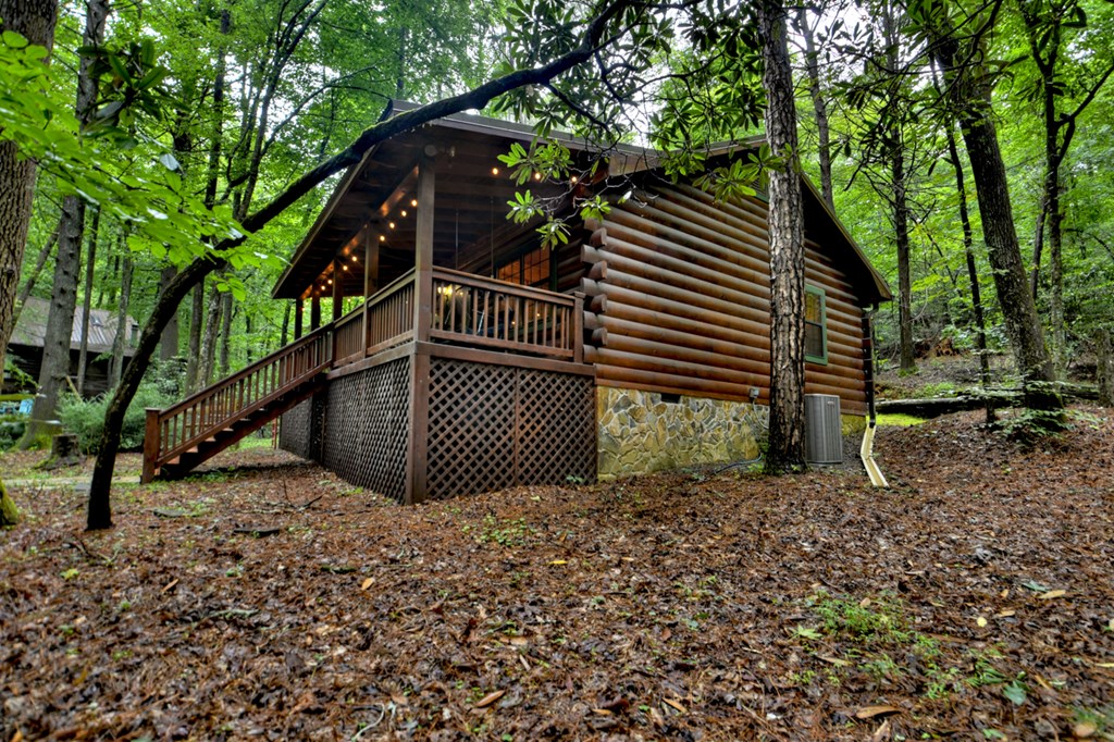 17 Chapman Lake Trail
