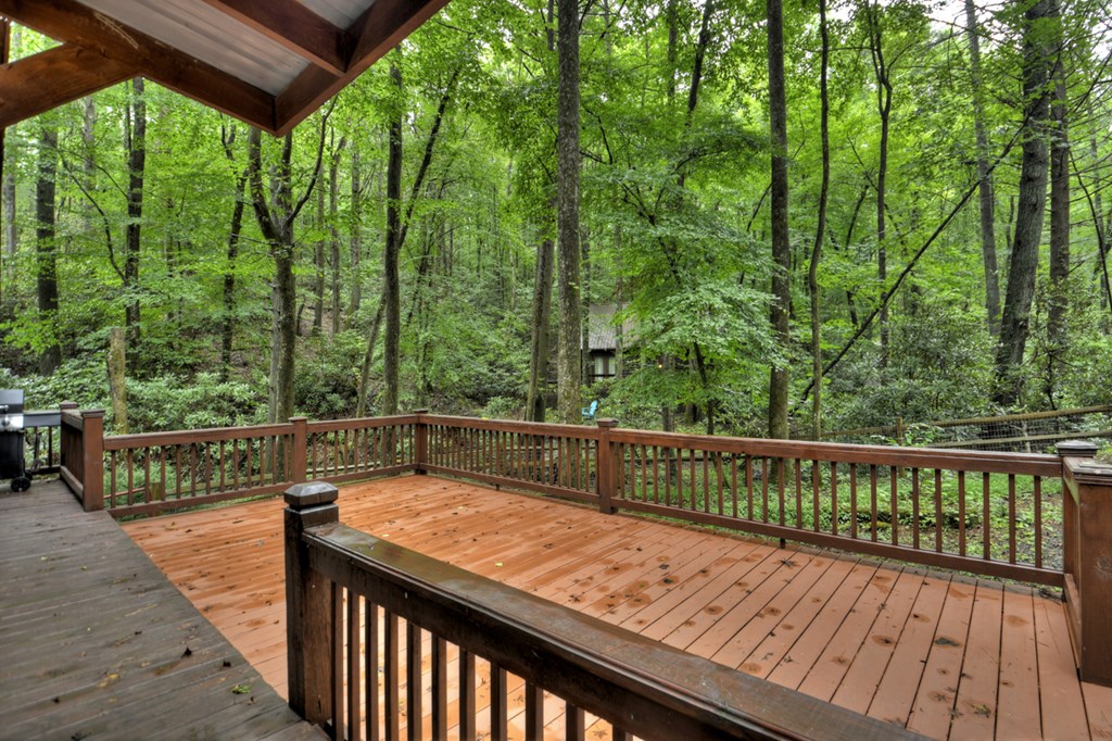 17 Chapman Lake Trail