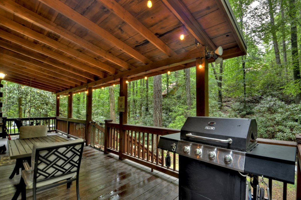 17 Chapman Lake Trail