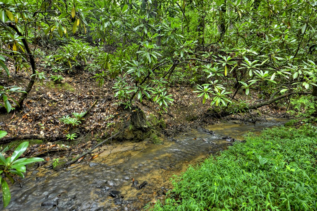 17 Chapman Lake Trail