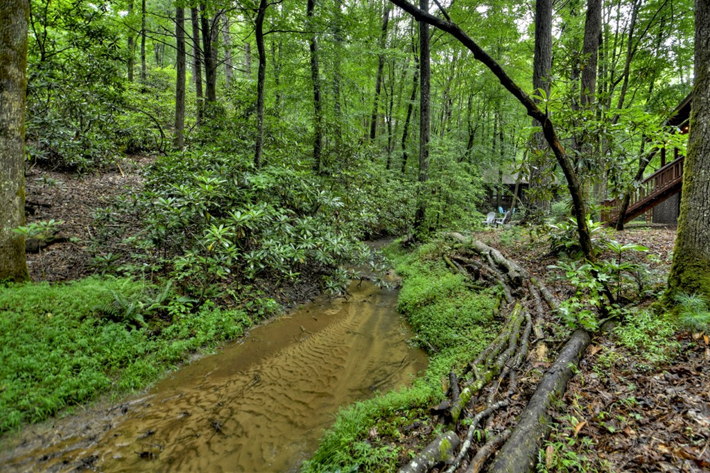 17 Chapman Lake Trail