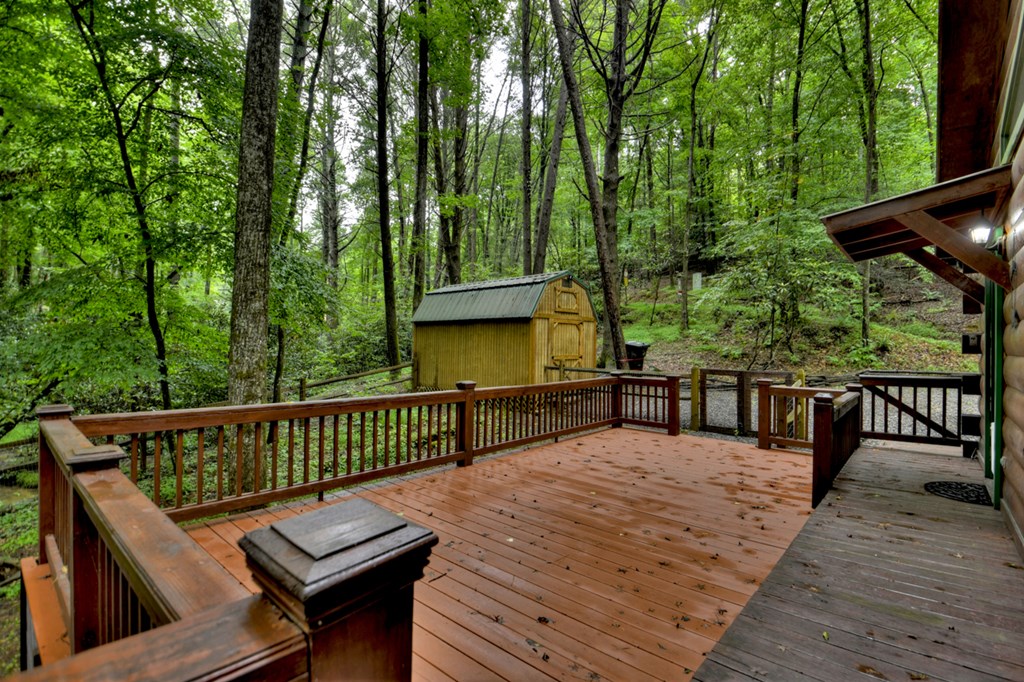 17 Chapman Lake Trail
