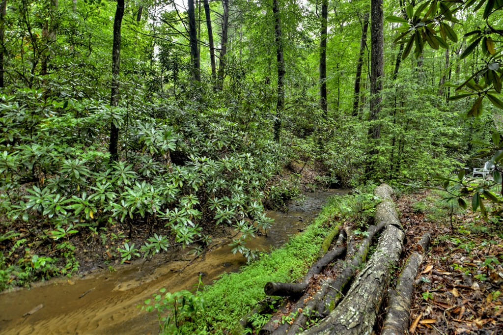 17 Chapman Lake Trail