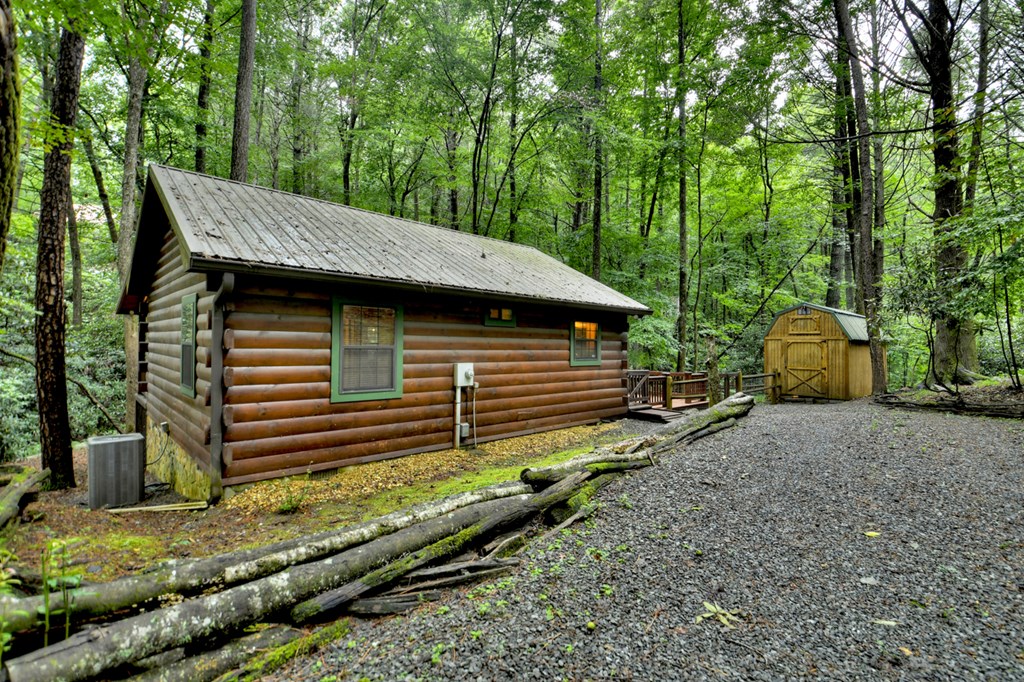 17 Chapman Lake Trail