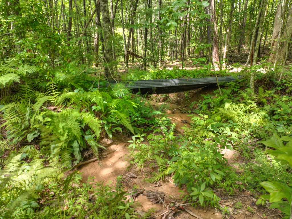 284 Quail Ridge Road
