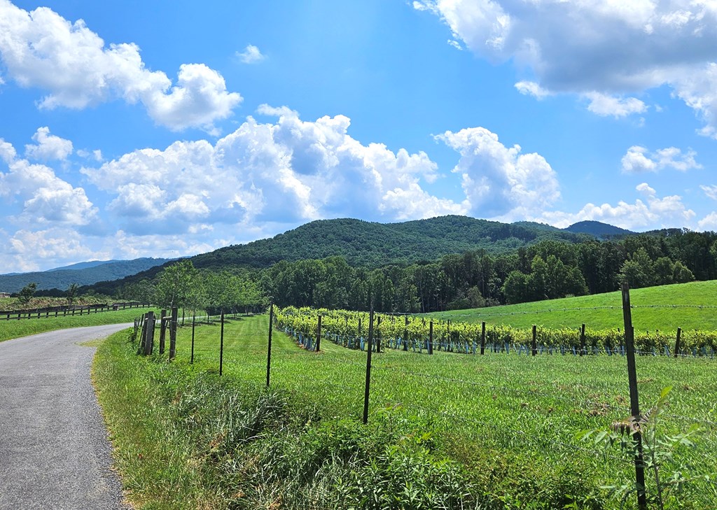 68 High Summit Dr, Ellijay