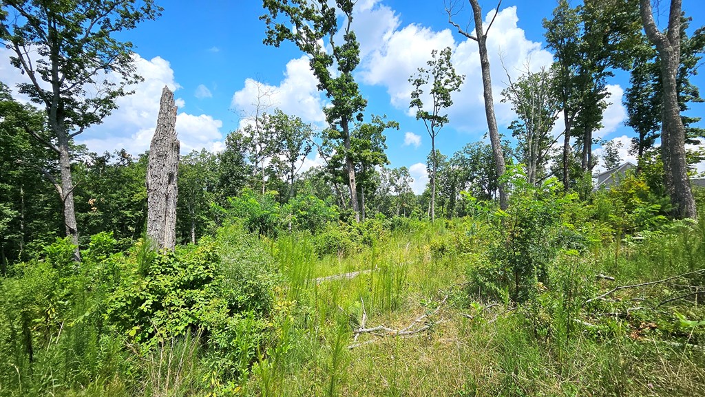 68 High Summit Dr, Ellijay