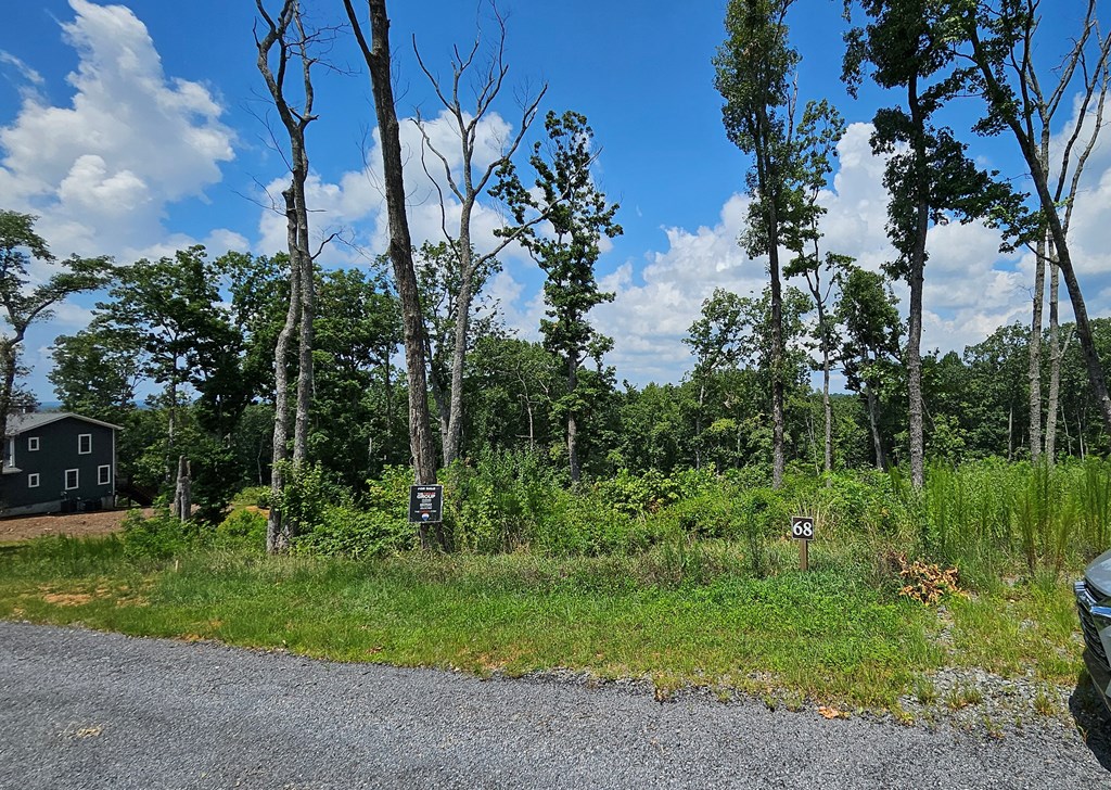 68 High Summit Dr, Ellijay