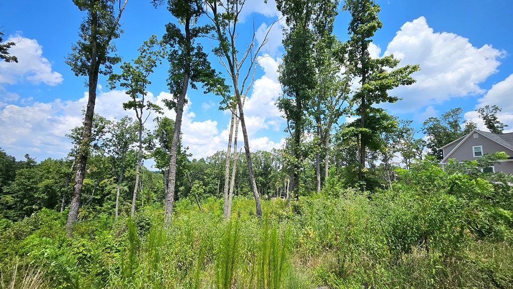 68 High Summit Dr, Ellijay