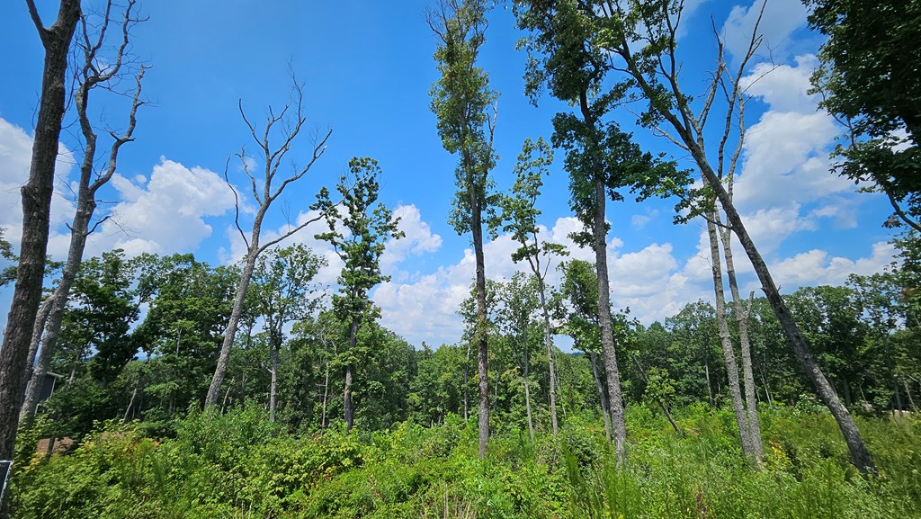 68 High Summit Dr, Ellijay