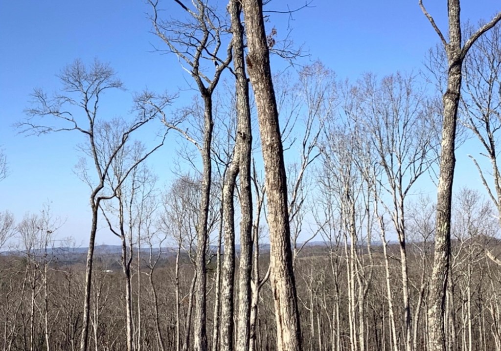 68 High Summit Dr, Ellijay