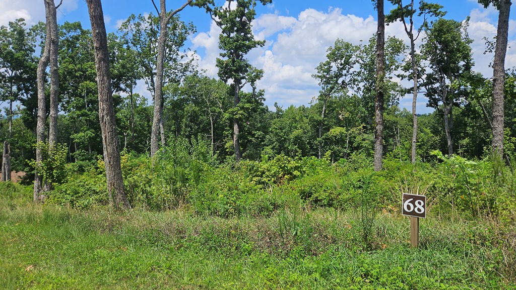 68 High Summit Dr, Ellijay