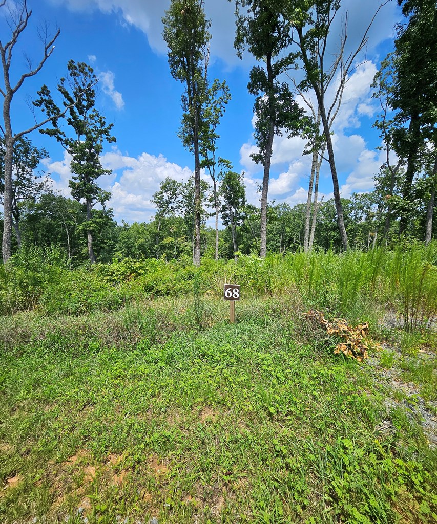 68 High Summit Dr, Ellijay