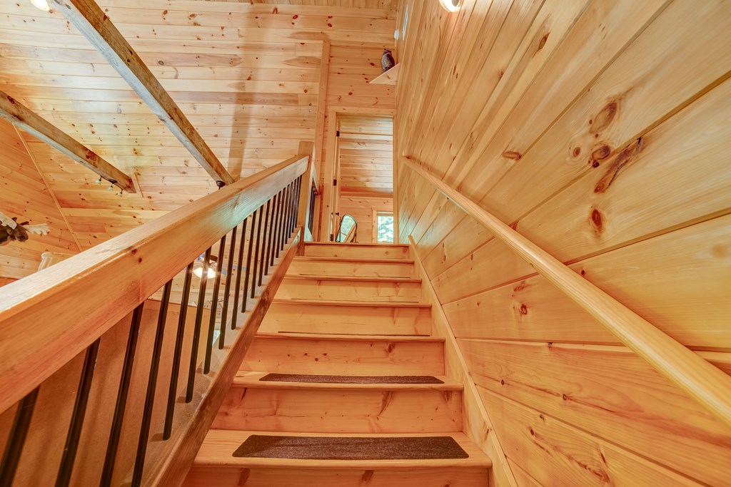 561 Wilderness View