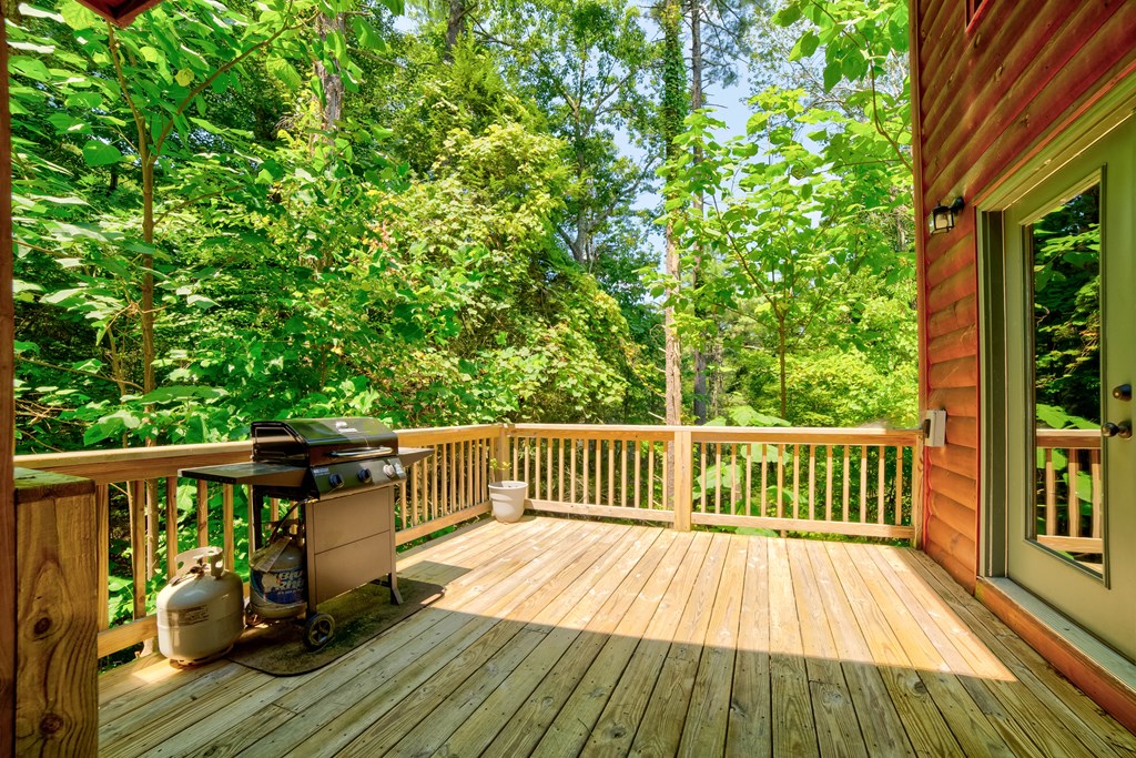 561 Wilderness View