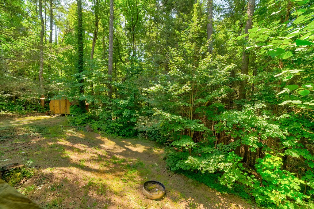 561 Wilderness View