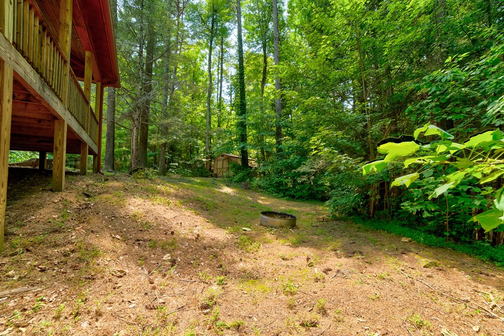 561 Wilderness View