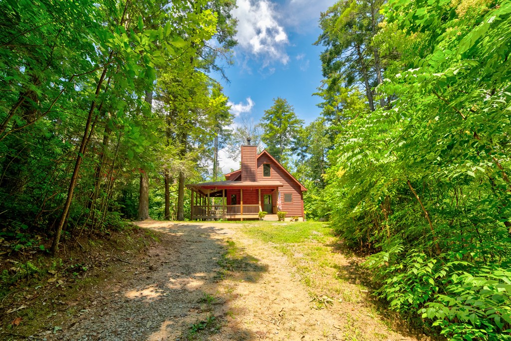 561 Wilderness View