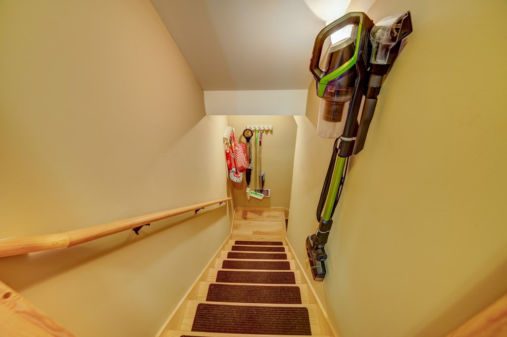 561 Wilderness View