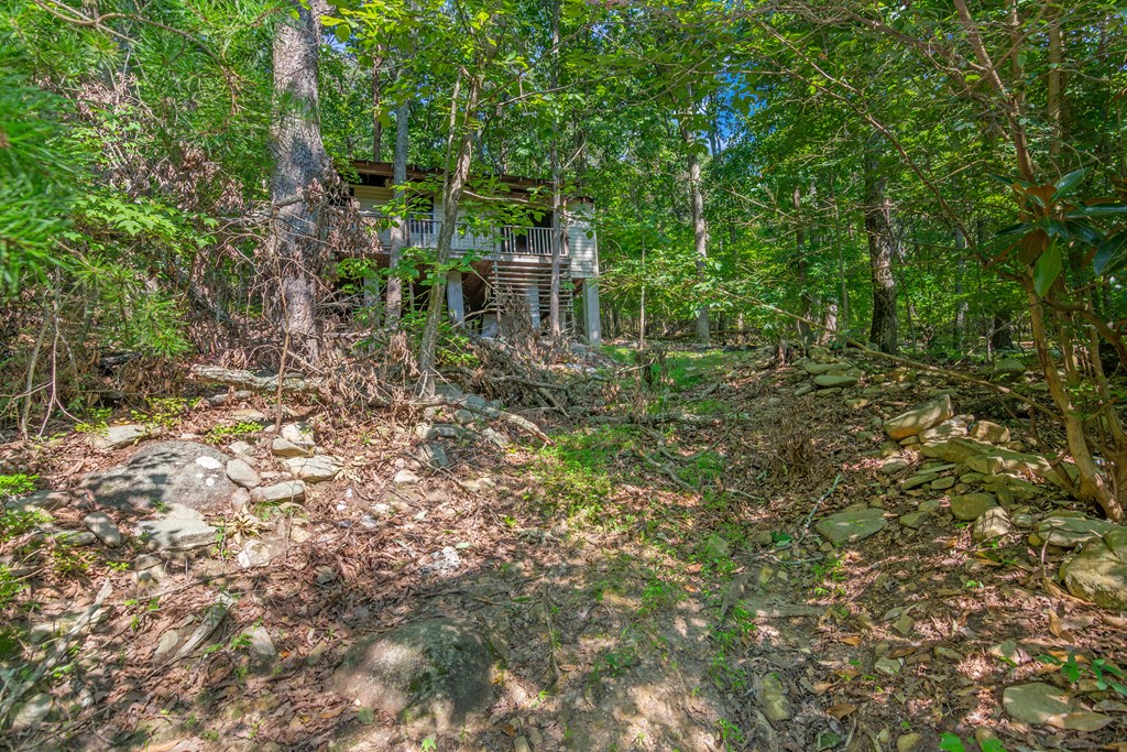 1776 Mulberry Circle