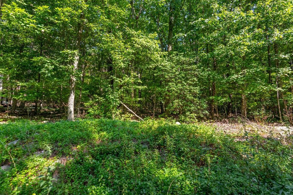 1776 Mulberry Circle