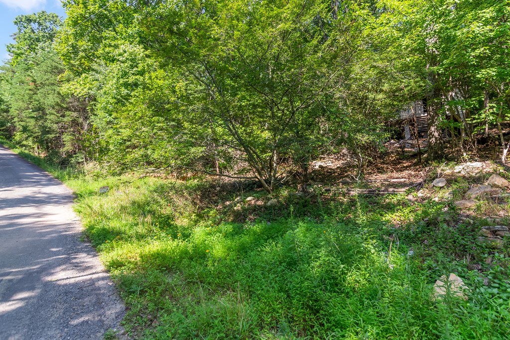 1776 Mulberry Circle