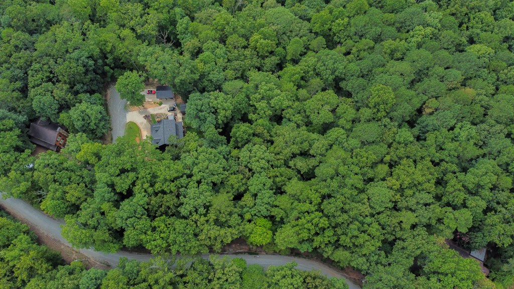 1776 Mulberry Circle