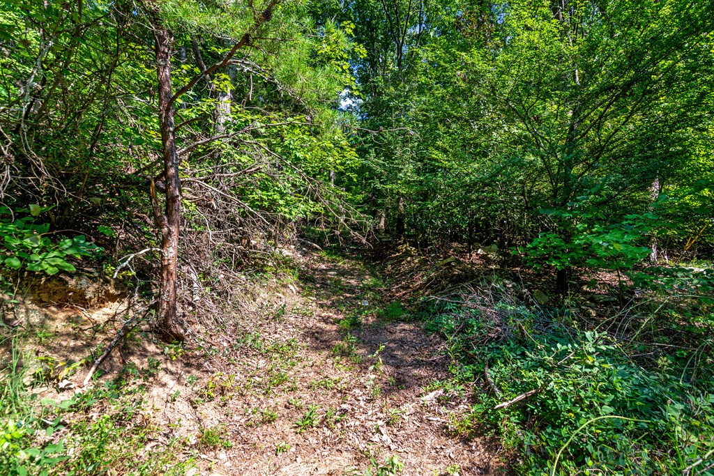 1776 Mulberry Circle