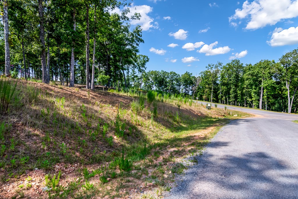 Lot 84 Ridge Drive