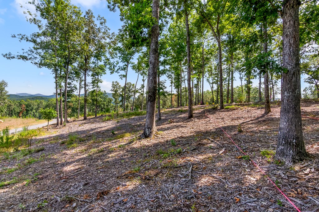 Lot 84 Ridge Drive