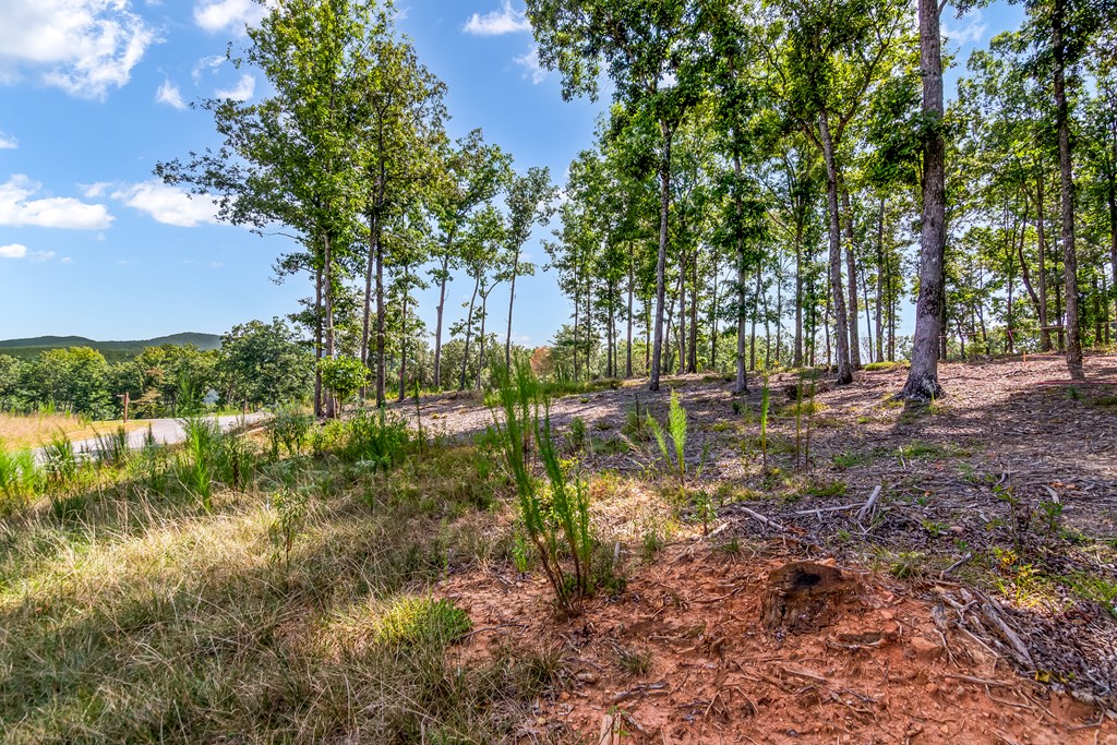 Lot 84 Ridge Drive