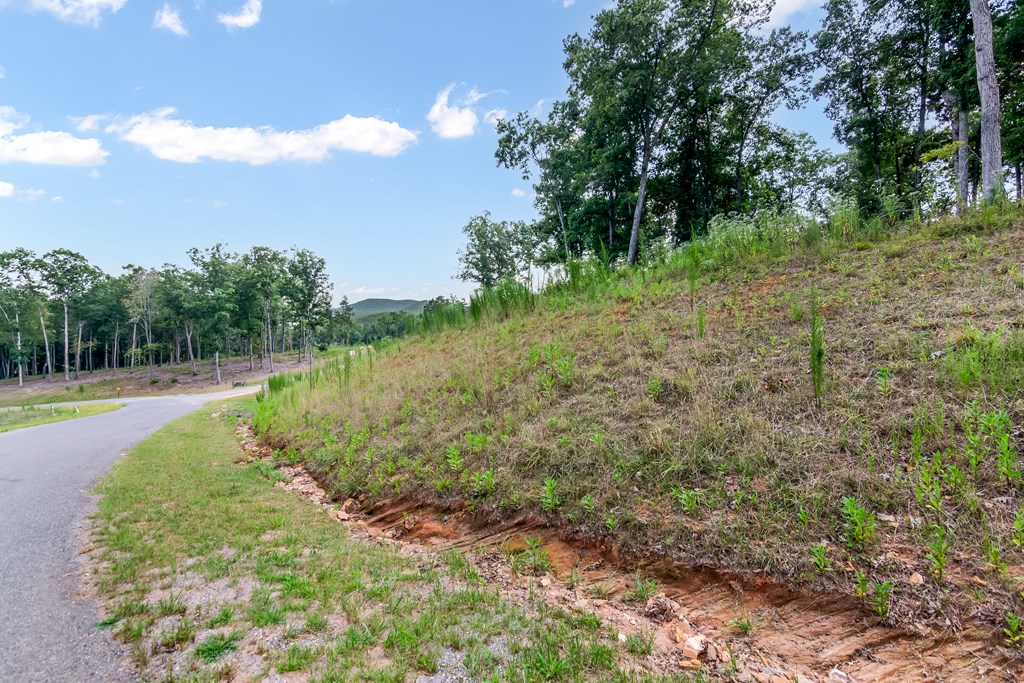 Lot 84 Ridge Drive