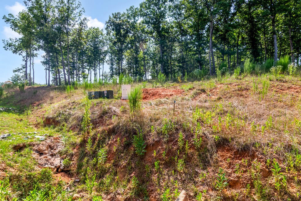 Lot 84 Ridge Drive