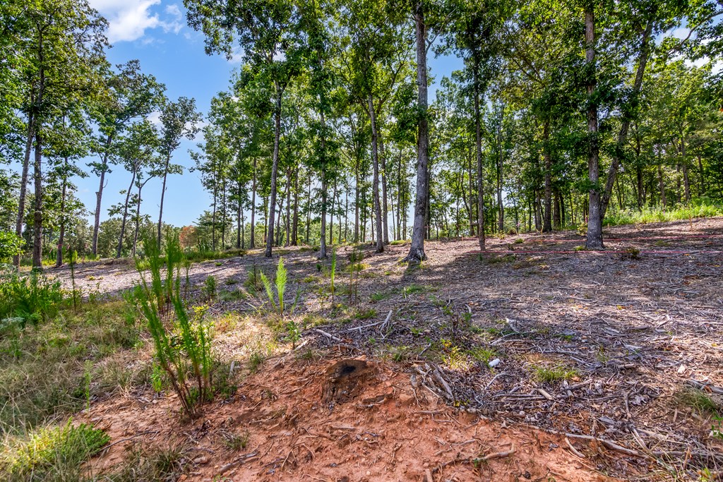 Lot 84 Ridge Drive