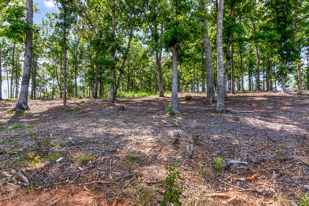 Lot 84 Ridge Drive