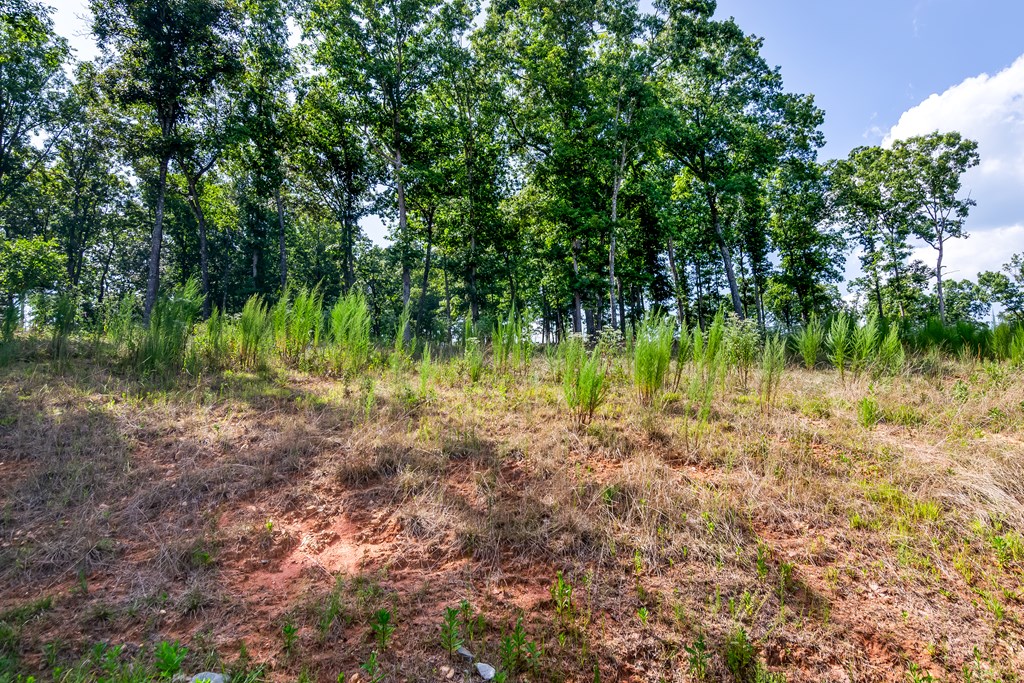 Lot 84 Ridge Drive