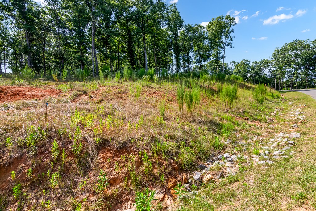 Lot 84 Ridge Drive