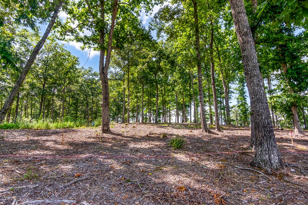 Lot 84 Ridge Drive