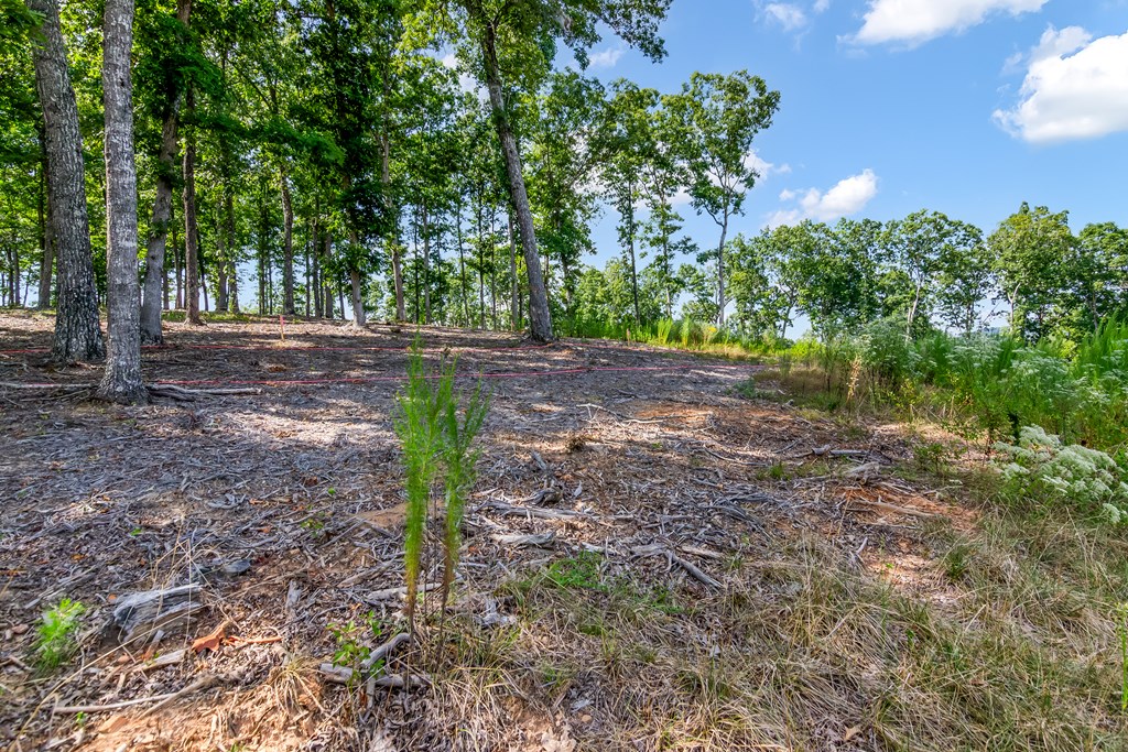 Lot 84 Ridge Drive
