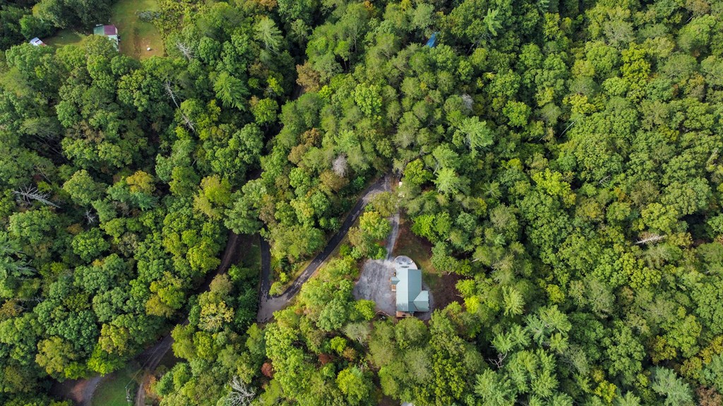241 Mary Way