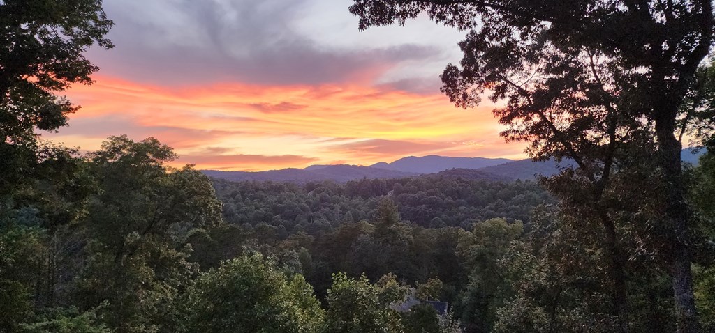 1161 Settlers Ridge Road
