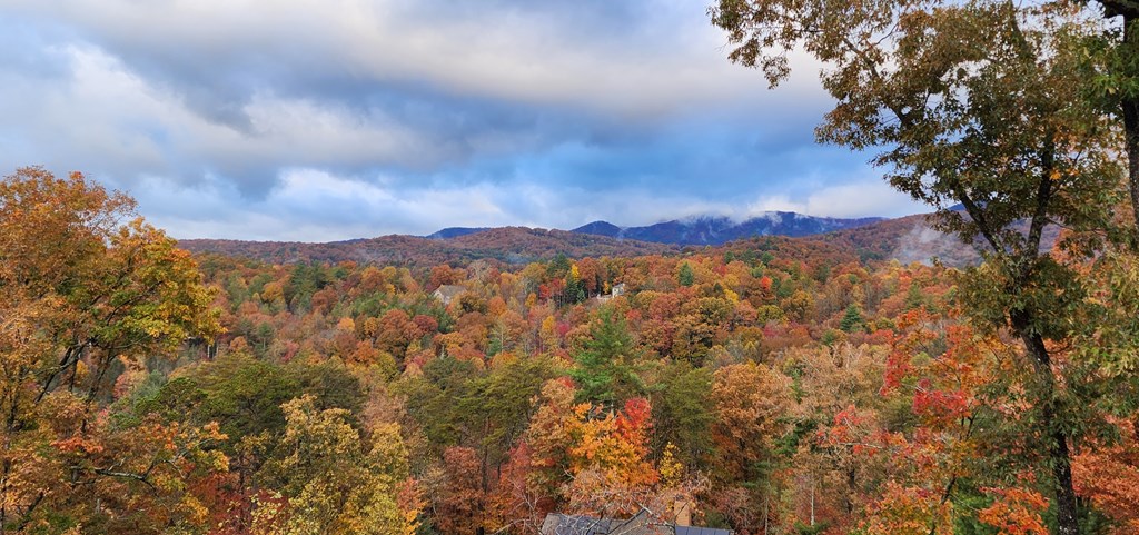 1161 Settlers Ridge Road