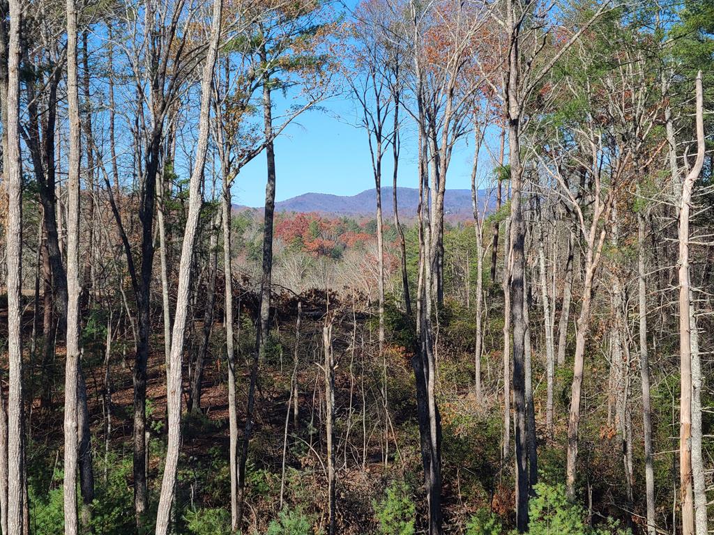1713 Old Northcutt Road