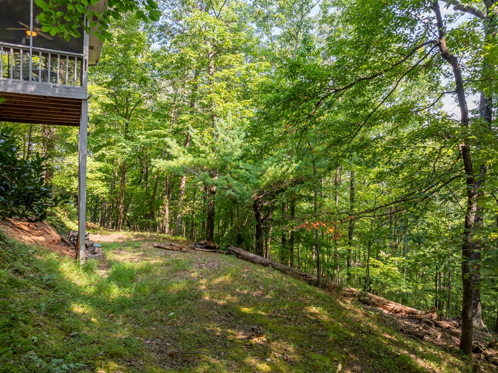 160 Hickory Trace
