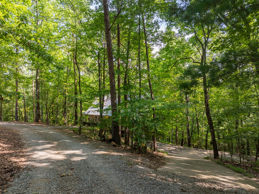160 Hickory Trace