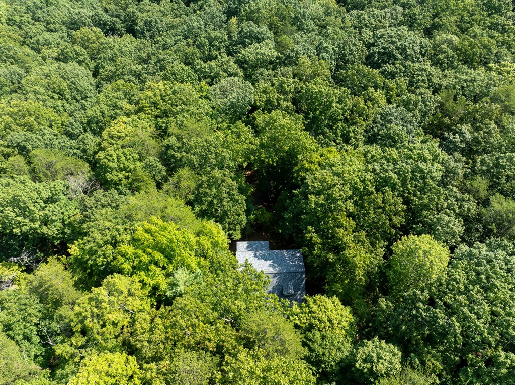 160 Hickory Trace