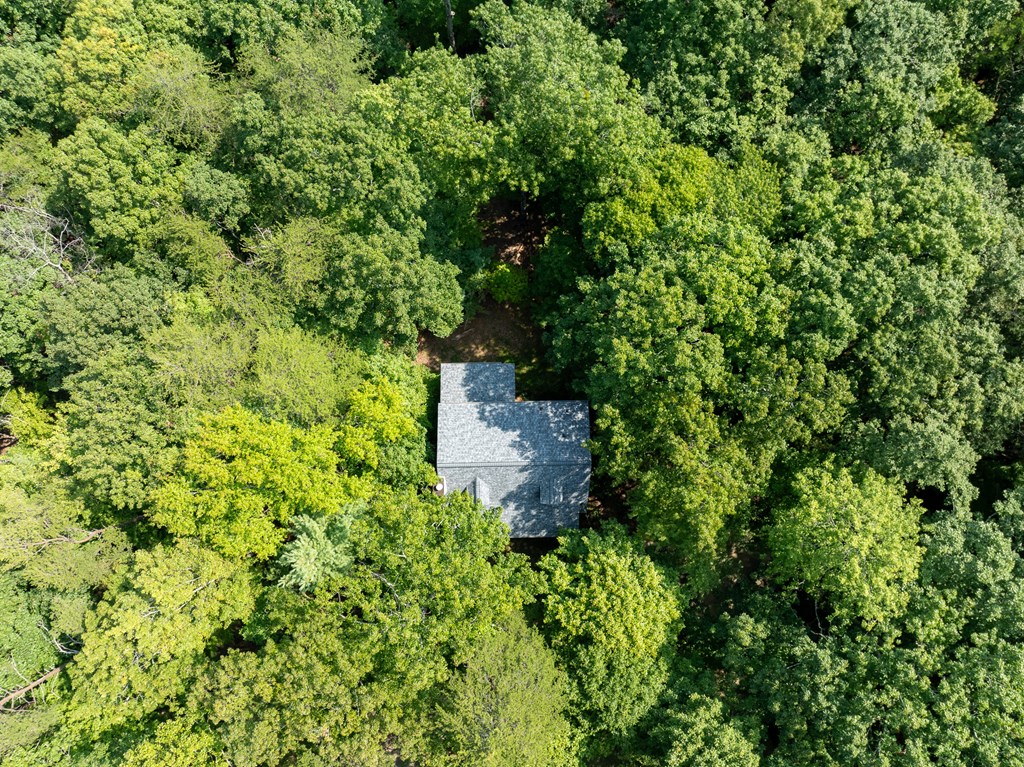 160 Hickory Trace