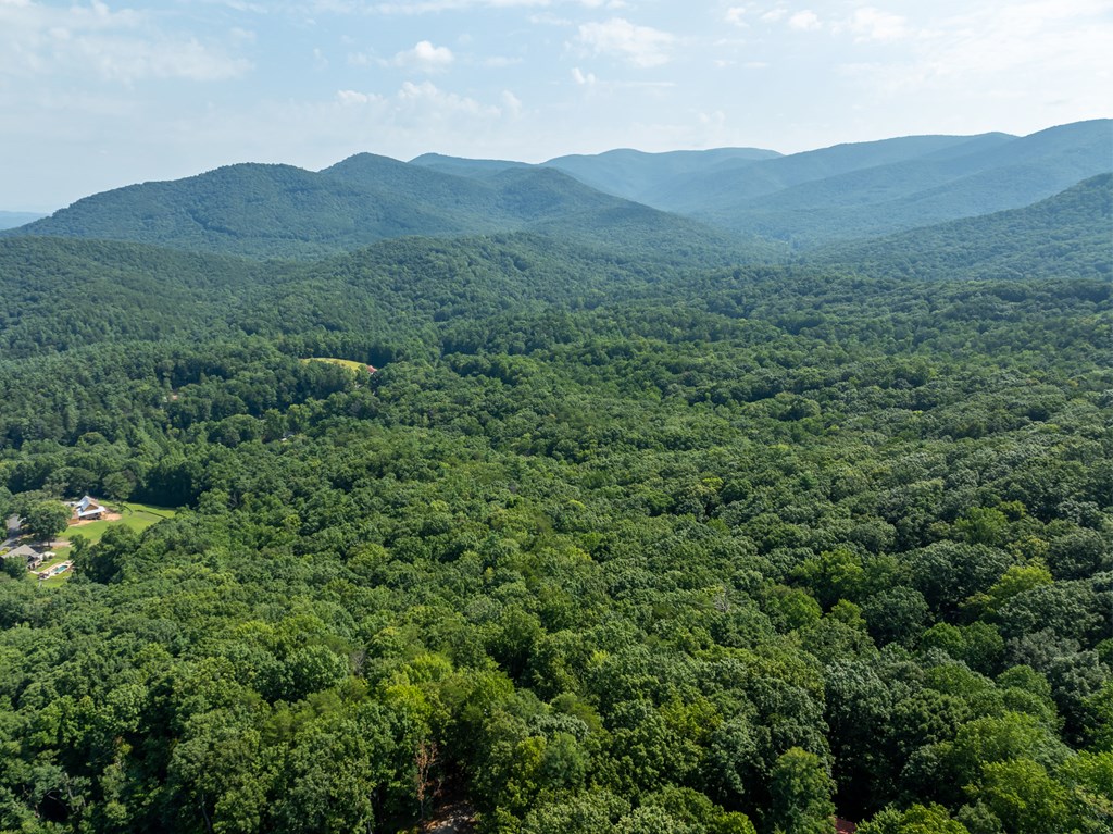 160 Hickory Trace